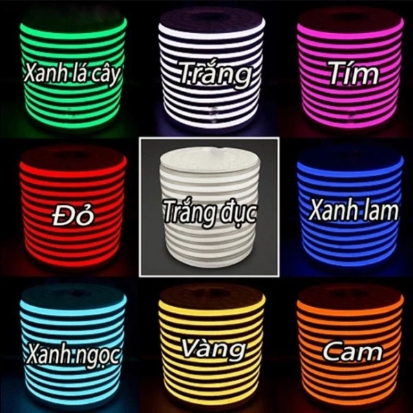 Đèn LED neon không chỉ là nguồn sáng mà còn là yếu tố trang trí quan trọng. (Ảnh 2)
