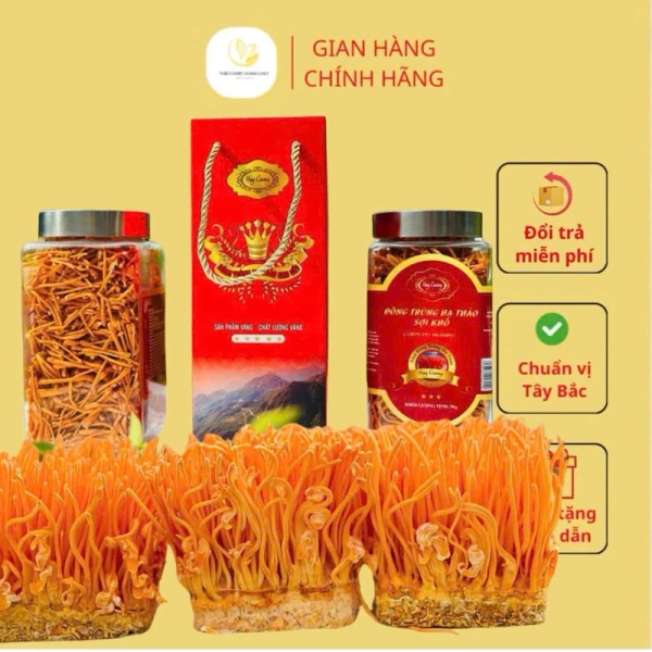 Khi kỳ vọng Đông Trùng Hạ Thảo sẽ mang lại sức khỏe vượt trội, thực tế sử dụng lại hé lộ những thay đổi ít ai ngờ tới. - Ảnh 1 Khi kỳ vọng Đông Trùng Hạ Thảo sẽ mang lại sức khỏe vượt trội, thực tế sử dụng lại hé lộ những thay đổi ít ai ngờ tới. - Ảnh 1