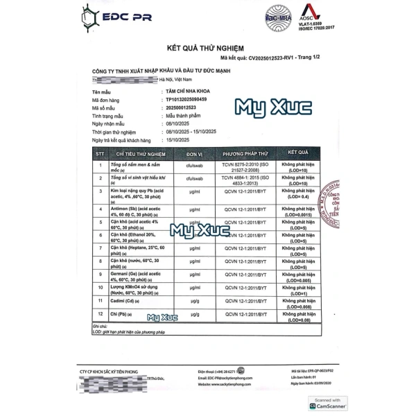 Kẽ răng có thể có các hình dạng rất đa dạng: hẹp, sâu, cong, hay thậm chí là chồng chênh. (Ảnh 3)