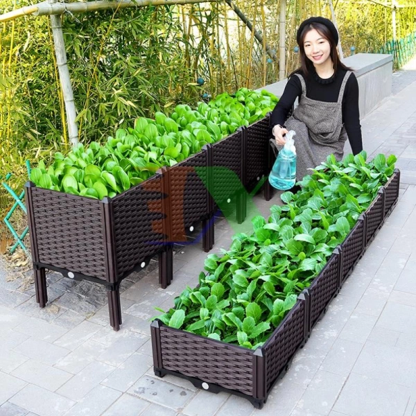 Cho lớp đất đã pha sẵn dinh dưỡng lên từng tầng, dày khoảng 5 cm, sau đó rải lớp phủ hữu cơ như mùn. (Ảnh 5)