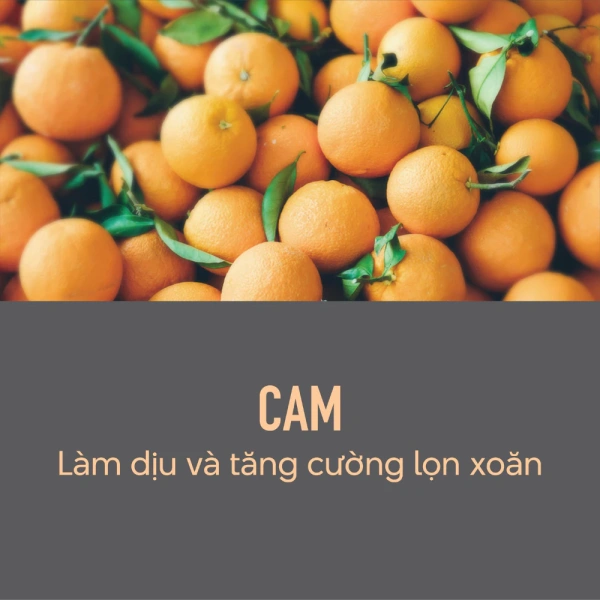 Để minh họa, dưới đây là bảng so sánh nhanh giữa ba mẫu sữa dưỡng tóc phổ biến dành cho tóc xoăn, bao gồm sản phẩm đang được quảng bá. (Ảnh 4) Để minh họa, dưới đây là bảng so sánh nhanh giữa ba mẫu sữa dưỡng tóc phổ biến dành cho tóc xoăn, bao gồm sản phẩm đang được quảng bá. (Ảnh 4)