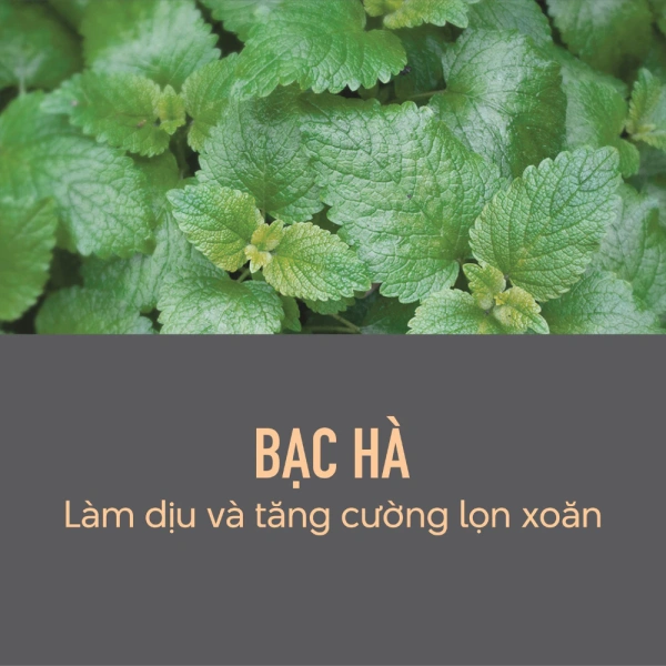Sữa Dưỡng Tóc Giúp Định Hình Lọn Xoăn Goldwell KMS Curlup được thiết kế để đáp ứng đầy đủ các yếu tố trên. (Ảnh 5) Sữa Dưỡng Tóc Giúp Định Hình Lọn Xoăn Goldwell KMS Curlup được thiết kế để đáp ứng đầy đủ các yếu tố trên. (Ảnh 5)