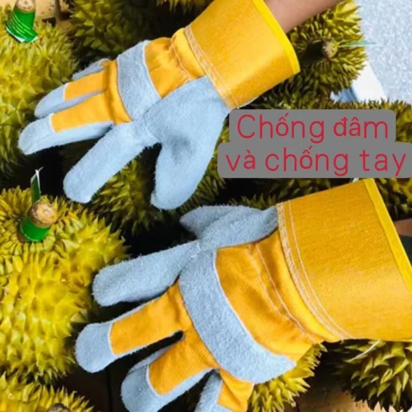 Một găng tay được xử lý đúng sẽ giảm đáng kể cảm giác “khó vận động” khi thực hiện các thao tác cần độ tinh tế. (Ảnh 4) Một găng tay được xử lý đúng sẽ giảm đáng kể cảm giác “khó vận động” khi thực hiện các thao tác cần độ tinh tế. (Ảnh 4)