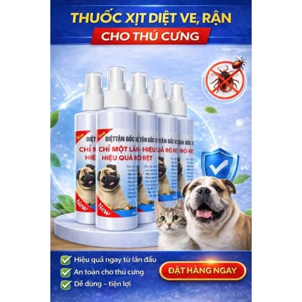 Dung dịch xịt ve bọ rận thường là hỗn hợp của ba thành phần chính: chất hoạt chất diệt bọ (thường là pyrethrin hoặc các dẫn xuất), dung môi (như ethanol, nước) và các chất ổn định (chất nhũ hóa, chất làm mịn). (Ảnh 2) Dung dịch xịt ve bọ rận thường là hỗn hợp của ba thành phần chính: chất hoạt chất diệt bọ (thường là pyrethrin hoặc các dẫn xuất), dung môi (như ethanol, nước) và các chất ổn định (chất nhũ hóa, chất làm mịn). (Ảnh 2)
