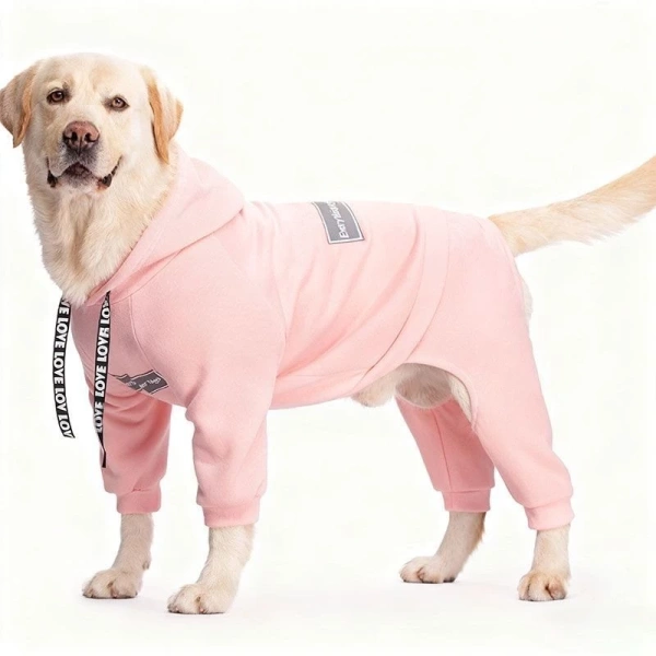 Mặc áo hoodie thoáng khí cho chó lớn mà vẫn bị rụng lông: nguyên nhân chất liệu và cách lựa chọn - Ảnh 1 Mặc áo hoodie thoáng khí cho chó lớn mà vẫn bị rụng lông: nguyên nhân chất liệu và cách lựa chọn - Ảnh 1