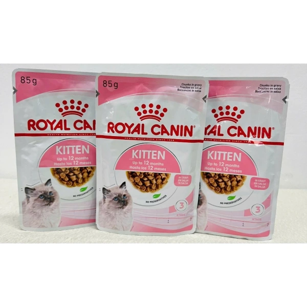 Mẹ mèo mang thai ngại ăn pâté trong khi bé con lại tán thích - Ảnh 5