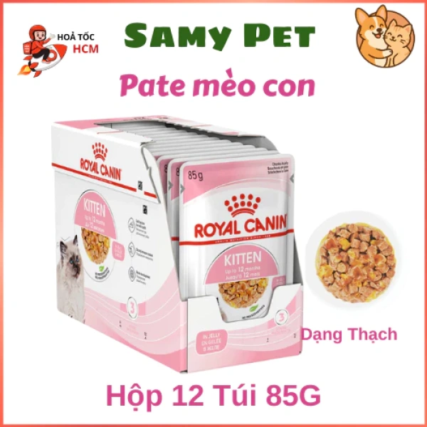 Mẹ mèo mang thai thật sự cần bao nhiêu khẩu phần pate ẩm mỗi ngày? - Ảnh 1