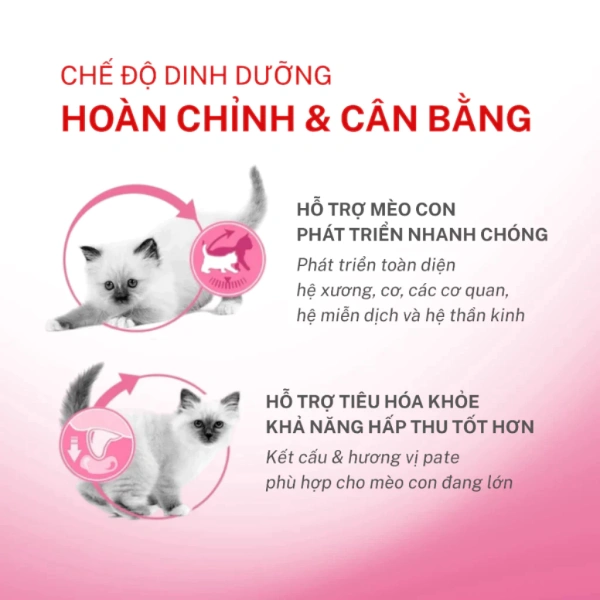 Hoả Tốc 21H – Hộp 12 Túi 85 g Pate Royal Canin Kitten Jelly được thiết kế dành riêng cho mèo con dưới 12 tháng và mèo mẹ mang thai. (Ảnh 4)