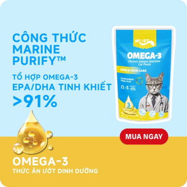Mèo chỉ ăn một miếng pâté 70g mỗi ngày: tại sao hương vị giàu 51% thịt lại không khiến chúng thèm hơn? - Ảnh 4