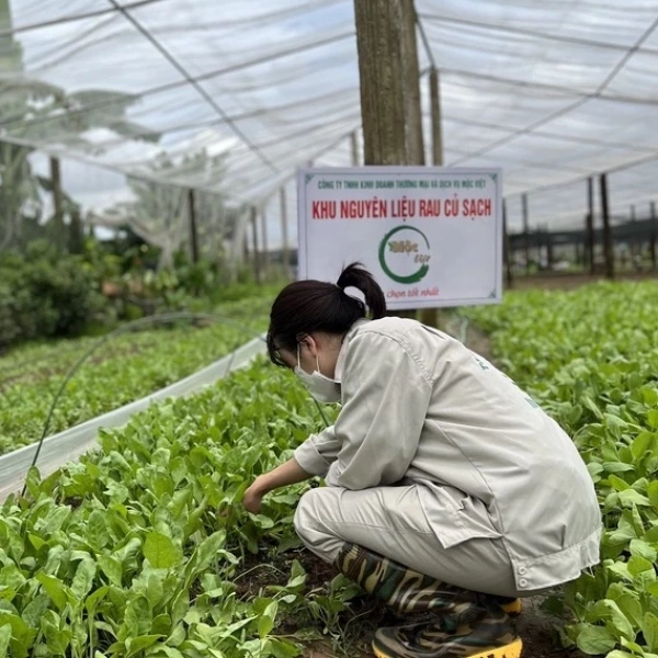 Mì rau củ hữu cơ: khi sự tiện lợi gặp bất ngờ về độ tươi và hương vị thực tế - Ảnh 4