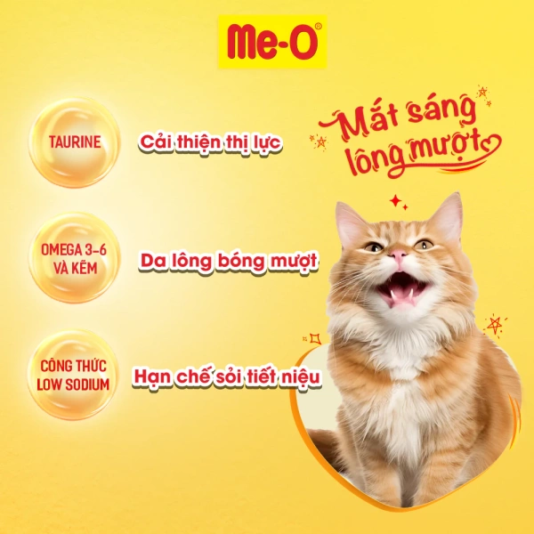 Omega‑3 không chỉ có lợi cho da lông mà còn ảnh hưởng trực tiếp tới hoạt tính tế bào thần kinh. (Ảnh 3)