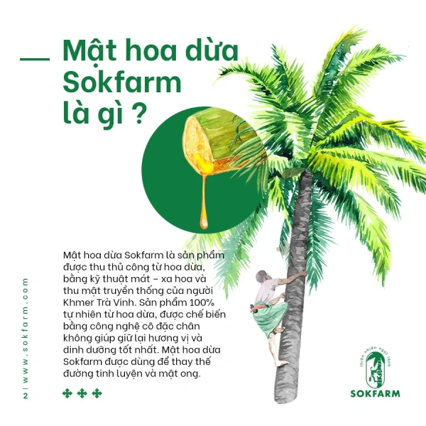 Dù là sản phẩm tự nhiên, việc tiêu thụ quá mức vẫn có thể gây bất lợi, đặc biệt đối với những người đang dùng thuốc điều trị đường huyết. (Ảnh 5)