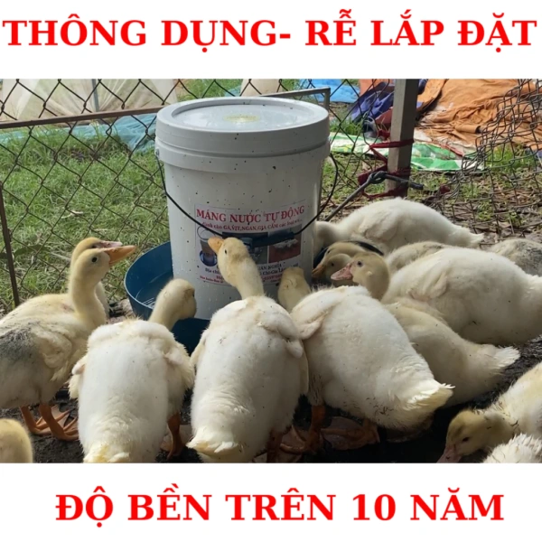 Không phải mọi máng uống nước tự động đều đáp ứng được yêu cầu giảm lãng phí nước qua bùn. (Ảnh 3) Không phải mọi máng uống nước tự động đều đáp ứng được yêu cầu giảm lãng phí nước qua bùn. (Ảnh 3)