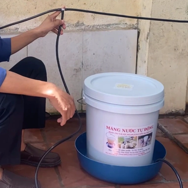 Một sản phẩm đang được nhiều bà con ưa chuộng là Máng uống nước tự động loại siêu bền cho Ngan, Vịt, Gà hiệu quả nhất. (Ảnh 5) Một sản phẩm đang được nhiều bà con ưa chuộng là Máng uống nước tự động loại siêu bền cho Ngan, Vịt, Gà hiệu quả nhất. (Ảnh 5)