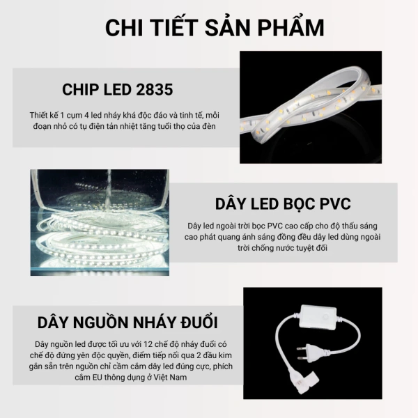 Trong quá trình tìm kiếm một giải pháp ánh sáng có tính linh hoạt, độ bền và thẩm mỹ tốt, đèn LED 30M 2835 nháy duổi là một lựa chọn đáng cân nhắc. (Ảnh 5) Trong quá trình tìm kiếm một giải pháp ánh sáng có tính linh hoạt, độ bền và thẩm mỹ tốt, đèn LED 30M 2835 nháy duổi là một lựa chọn đáng cân nhắc. (Ảnh 5)