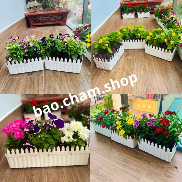 Những người yêu thích trang trí nội thất đã chia sẻ kinh nghiệm thực tế về việc chuyển đổi chậu. (Ảnh 4)