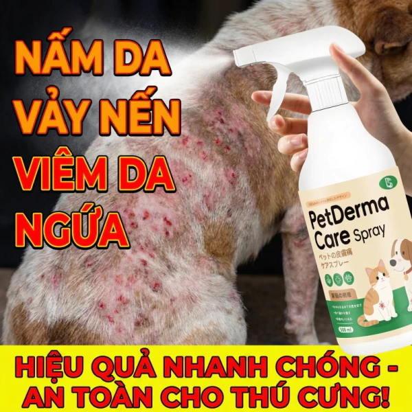 Những chi tiết nhỏ khi dùng xịt trị nấm da cho chó mà hầu hết chủ vật nuôi thường quên - Ảnh 1 Những chi tiết nhỏ khi dùng xịt trị nấm da cho chó mà hầu hết chủ vật nuôi thường quên - Ảnh 1