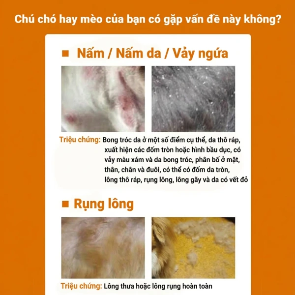 Mặc dù nhãn sản phẩm thường đề cập “1‑2 lần mỗi ngày”, nhiều người lại áp dụng quá mức (đến 4‑5 lần) hoặc ngược lại, chỉ dùng một lần. (Ảnh 3) Mặc dù nhãn sản phẩm thường đề cập “1‑2 lần mỗi ngày”, nhiều người lại áp dụng quá mức (đến 4‑5 lần) hoặc ngược lại, chỉ dùng một lần. (Ảnh 3)