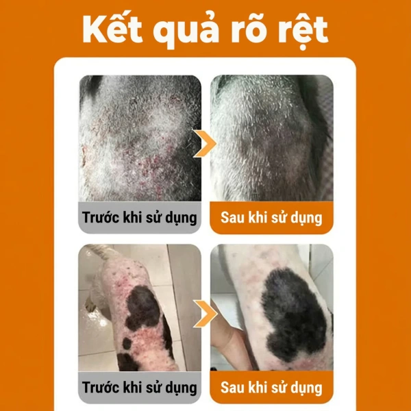 Trong thị trường hiện nay, có rất nhiều loại xịt trị nấm với thành phần và cách dùng khác nhau. (Ảnh 5) Trong thị trường hiện nay, có rất nhiều loại xịt trị nấm với thành phần và cách dùng khác nhau. (Ảnh 5)