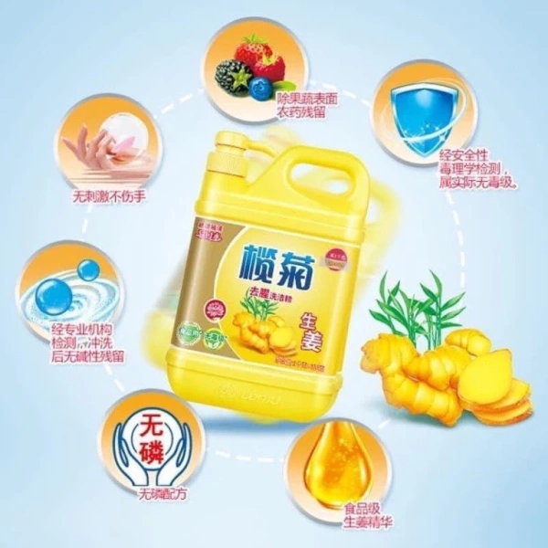 Gừng (Zingiber officinale) từ lâu đã được dùng trong y học truyền thống để hỗ trợ tiêu hoá và kháng viêm. (Ảnh 2)