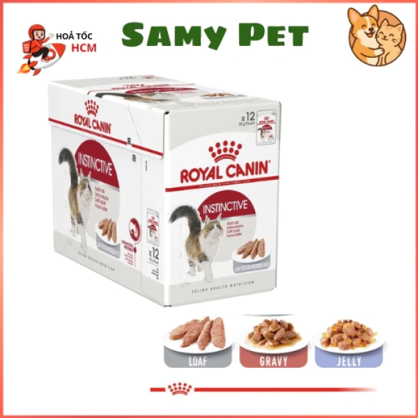 Pate cho mèo trưởng thành: khi hương vị mới hứa hẹn, chỉ một số con mới tán thưởng - Ảnh 1