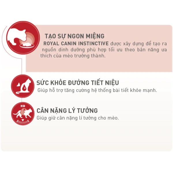 Pate cho mèo trưởng thành: khi hương vị mới hứa hẹn, chỉ một số con mới tán thưởng - Ảnh 5