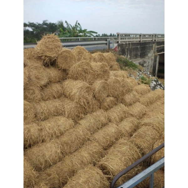 Rơm khô làm lớp lót cho ổ chim và chuồng gà: Khi độ bám bụi vượt dự đoán và những chi tiết thường bỏ qua - Ảnh 1 Rơm khô làm lớp lót cho ổ chim và chuồng gà: Khi độ bám bụi vượt dự đoán và những chi tiết thường bỏ qua - Ảnh 1