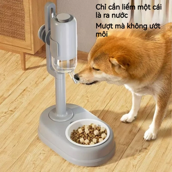 Sàn vẫn ẩm sau mỗi bữa ăn: thực tế khi dùng khay ăn uống cho mèo không thấm nước - Ảnh 1