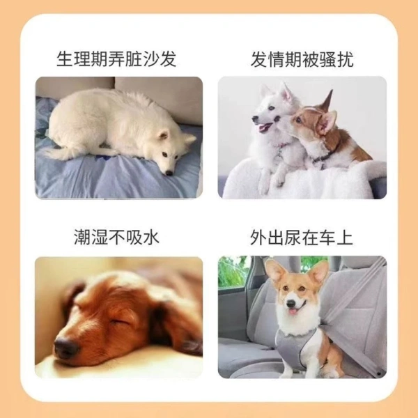 Sau nhiều lần giặt, quần sinh lý cho chó cái nhỏ vẫn giữ độ thoáng khí – chi tiết vật liệu ít ai chú ý - Ảnh 4 Sau nhiều lần giặt, quần sinh lý cho chó cái nhỏ vẫn giữ độ thoáng khí – chi tiết vật liệu ít ai chú ý - Ảnh 4
