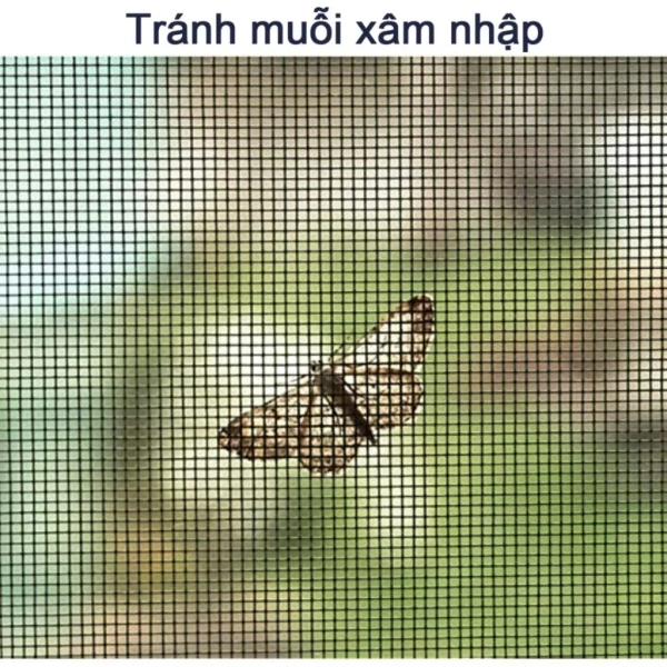 Trong quá trình tìm kiếm giải pháp “khép kín mà vẫn thông thoáng”, tôi đã thử nghiệm Rèm Lưới Chống Muỗi Dán Tường Cho Cửa Sổ. (Ảnh 4)