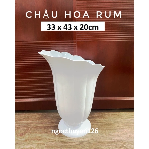 Sự bất ngờ khi chậu nhựa trắng lớn giữ độ ẩm tốt hơn mong đợi, làm sáng tươi mọi góc hoa kiểng. - Ảnh 2
