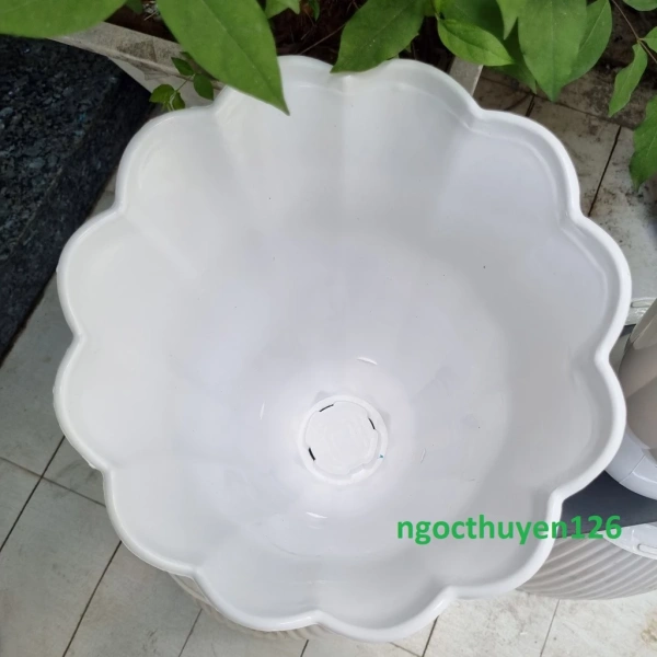 Dù nhựa PP bền nhưng nếu chậu va đập mạnh có thể gây nứt nhỏ – những vết nứt này có thể khiến nước rò rỉ. (Ảnh 4)
