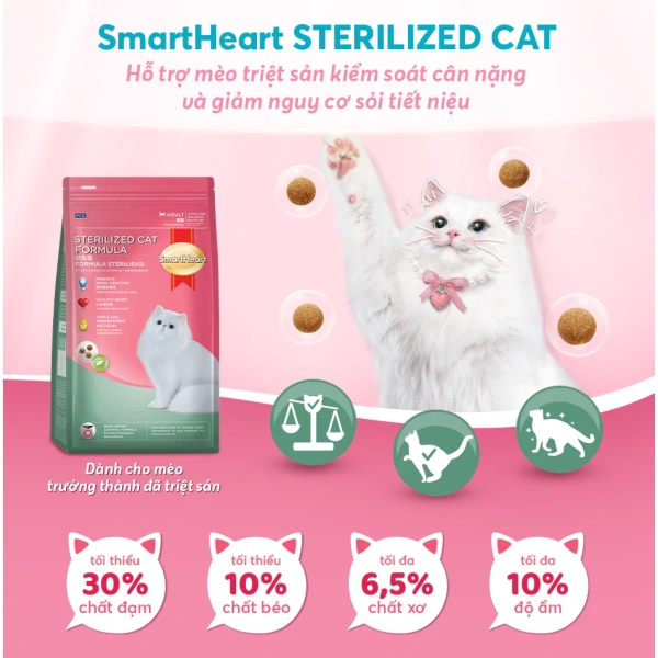 Chọn thức ăn hạt (dry food) cho mèo đã triệt sản cần dựa trên ba tiêu chí chính: lượng calorie, hàm lượng protein và chất xơ. (Ảnh 3)