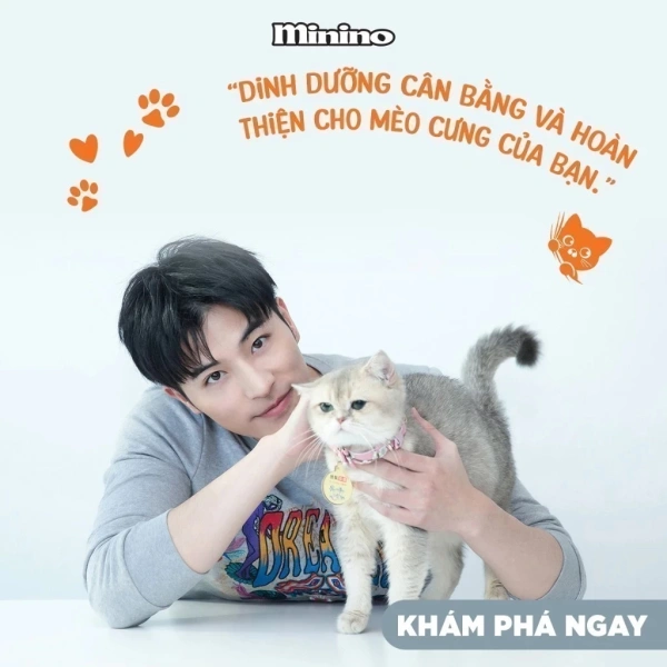 Trong thực tế, thị trường có rất nhiều lựa chọn, tuy nhiên không phải loại nào cũng đáp ứng đầy đủ các tiêu chí trên. (Ảnh 4)