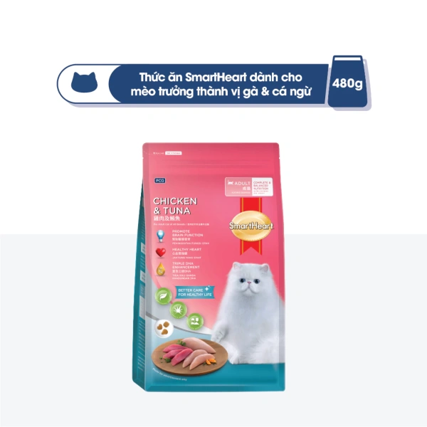Thức ăn hạt vị cá ngừ khiến mèo ăn ngon ngày đầu, nhưng tại sao chỉ kéo dài vài ngày? - Ảnh 3