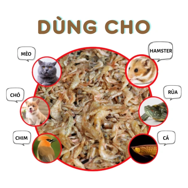 Chó có hệ tiêu hoá tương đối mạnh, nhưng vẫn cần sự cân bằng giữa protein, chất béo và chất xơ. (Ảnh 2)
