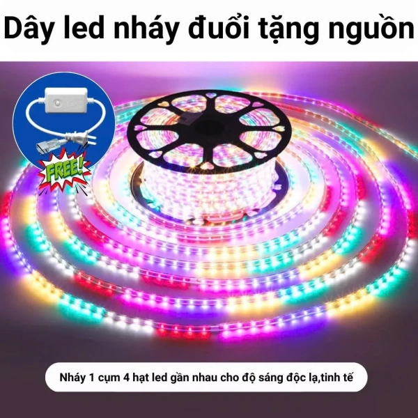 Thực tế sau khi lắp dây led 30m: khả năng chống nước kém khiến hệ thống ánh sáng sớm hỏng - Ảnh 2
