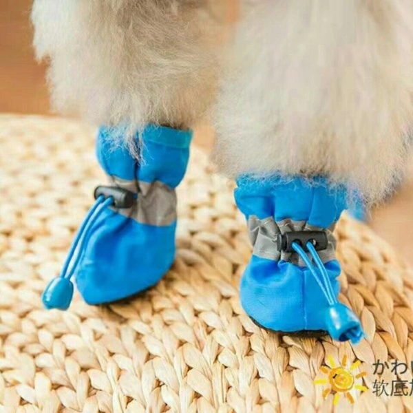 Thực tế sau khi mua giày chó co giãn: Đế mềm thoáng khí có thực giảm trơn trượt trong những buổi dạo chơi mùa thu - Ảnh 1