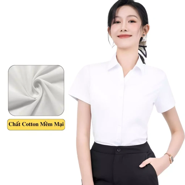 Áo sơ mi nữ ngắn tay cotton có thực sự giữ thoáng mát suốt cả ngày hè không?