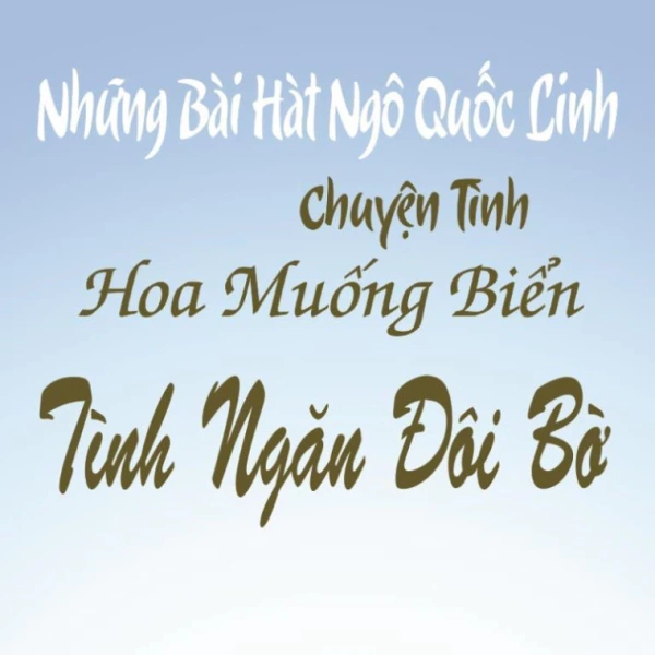 Chất lượng âm thanh trên đĩa CD Nhạc Hay thường khiến người nghe bất ngờ so với kỳ vọng ban đầu