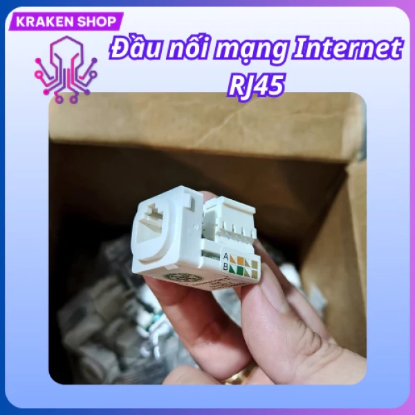 Chi tiết ẩn trong thiết kế ổ cắm mạng âm tường khiến việc lắp dây Cat5 trong nhà trở nên bất ngờ