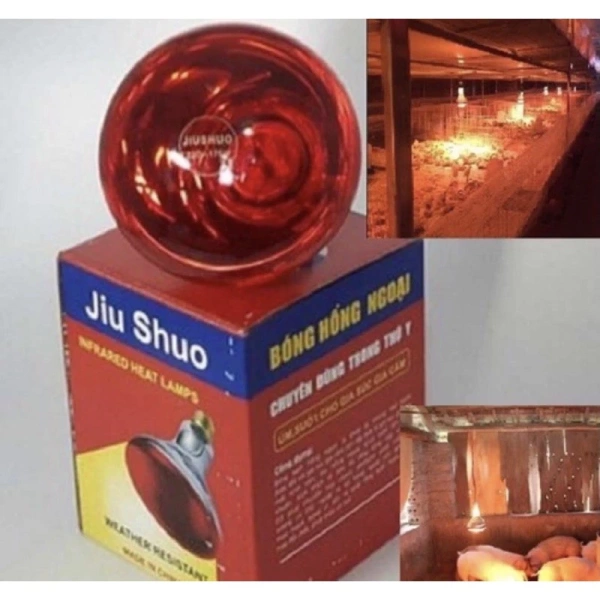 Đèn sưởi trong chuồng gia cầm mang lại nhiệt độ ổn định, nhưng nhiều người quên kiểm soát lượng điện năng tiêu thụ