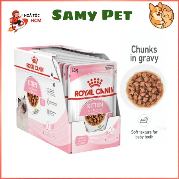 Đừng xem nhẹ việc chọn pate cho mèo con và mẹ bầu; một chi tiết nhỏ có thể thay đổi sức khỏe phát triển
