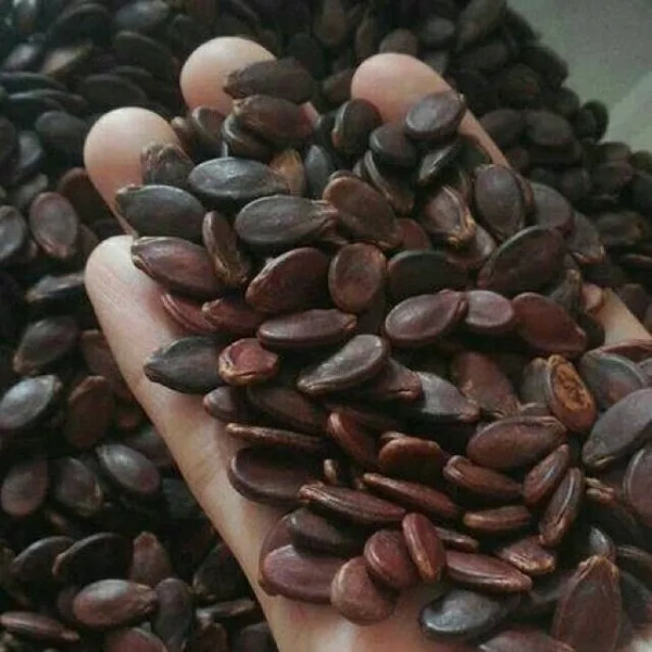 Khi nghĩ rằng gói 1kg snack hạt sẽ giữ độ giòn suốt tuần, nhưng thực tế chỉ kéo dài vài ngày