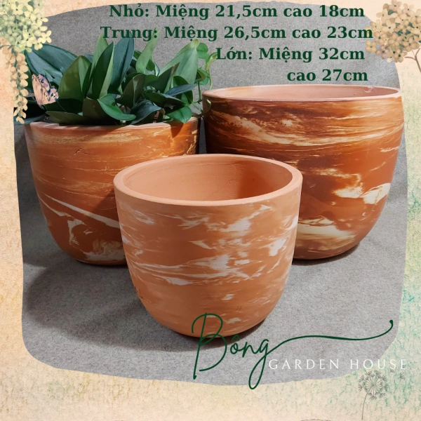 Kích thước bầu đất nung lớn giúp cây cảnh đứng vững, nhưng lại làm việc thay chậu trở nên nặng nề