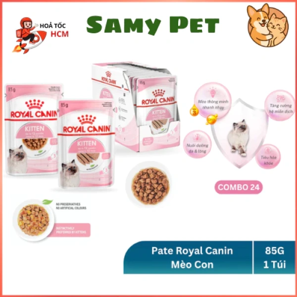 Mẹ mèo mang thai ngại ăn pâté trong khi bé con lại tán thích