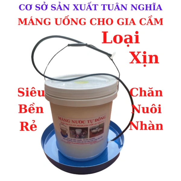 Người nuôi gà thường nghĩ màng uống nước tự động chỉ tiện lợi, mà thật ra nó còn giảm lượng nước lãng phí qua bùn