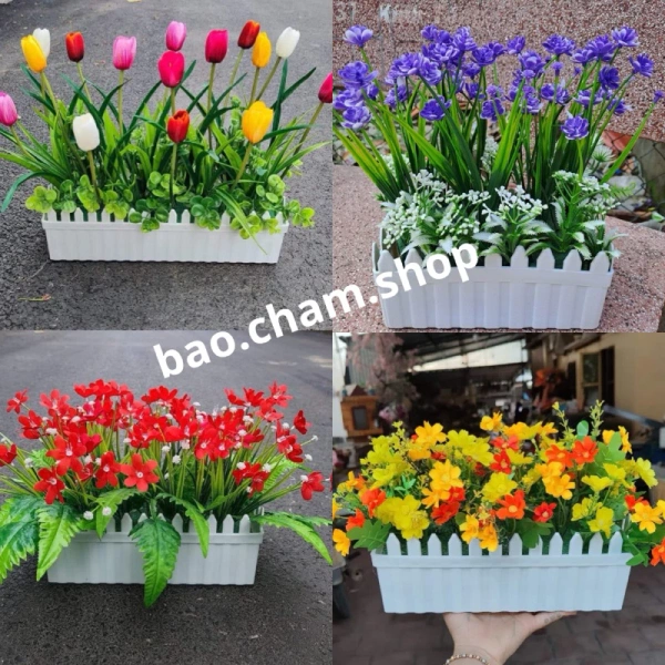 Những bất ngờ khi dùng chậu nhựa trắng bền cho hoa: độ ẩm đất duy trì lâu hơn mong đợi