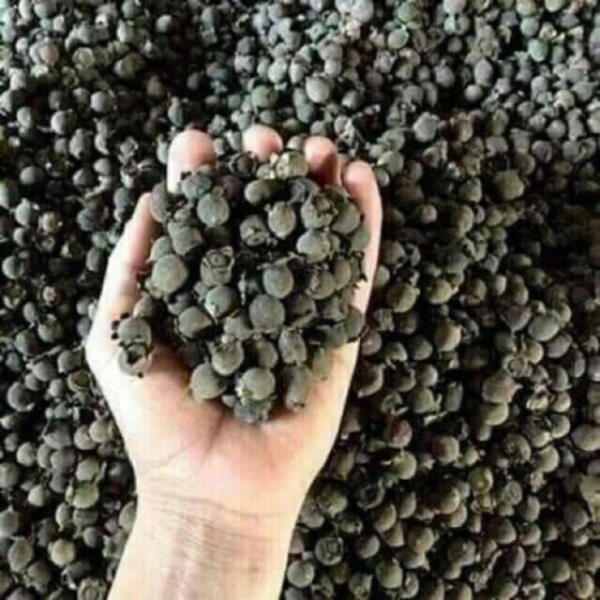 Sau một đêm ngâm, hương thơm từ nấm khô 1kg làm thay đổi hoàn toàn cách nấu súp
