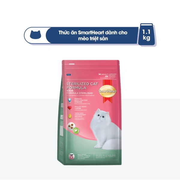 Thức ăn hạt cho mèo đã triệt sản: Khi mong muốn cân nặng ổn định mà lại gặp bất ngờ về sự thèm ăn của chúng